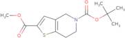 5-(tert-Butyl) 2-methyl 6,7-dihydrothieno[3,2-c]pyridine-2,5(4H)-dicarboxylate