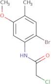 N-(2-Bromo-5-methoxy-4-methylphenyl)-2-chloroacetamide