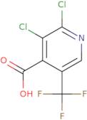 2,3-Dichloro-5-trifluoromethyl-isonicotinic acid