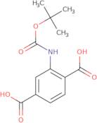 Boc-2-aminobenzene-1,4-dicarboxylic acid