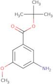 tert-Butyl 3-amino-5-methoxybenzoate