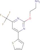 2-{[4-(Thiophen-2-yl)-6-(trifluoromethyl)pyrimidin-2-yl]oxy}ethan-1-amine