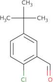2-Chloro-5-tert-butylbenzaldehyde