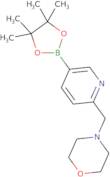 4-((5-(4,4,5,5-Tetramethyl-1,3,2-dioxaborolan-2-yl)pyridin-2-yl)methyl)morpholine