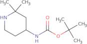 tert-Butyl N-(2,2-dimethylpiperidin-4-yl)carbamate