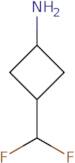 3-(Difluoromethyl)cyclobutan-1-amine