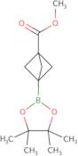 Methyl 3-(4,4,5,5-tetramethyl-1,3,2-dioxaborolan-2-yl)bicyclo[1.1.1]pentane-1-carboxylate