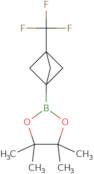 2-[3-(2,2-Difluoroethyl)bicyclo[1.1.1]pentan-1-yl]-4,4,5,5-tetramethyl-1,3,2-dioxaborolane