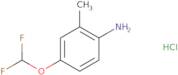 4-(Difluoromethoxy)-2-methylaniline hydrochloride