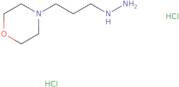 4-(3-Hydrazinylpropyl)morpholine dihydrochloride