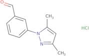 3-(3,5-Dimethyl-pyrazol-1-yl)-benzaldehyde hydrochloride