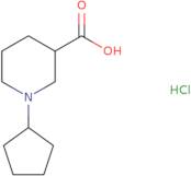 1-Cyclopentylpiperidine-3-carboxylic acidhydrochloride