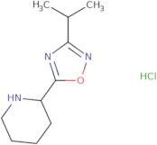 2-(3-Isopropyl-1,2,4-oxadiazol-5-yl)piperidinehydrochloride