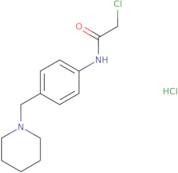 2-Chloro-N-(4-piperidin-1-ylmethyl-phenyl)-acetamide hydrochloride