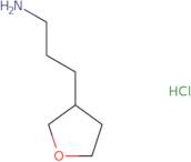 3-(Oxolan-3-yl)propan-1-amine hydrochloride