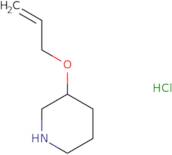 3-(Allyloxy)piperidine hydrochloride