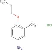 3-Methyl-4-propoxyaniline hydrochloride