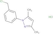 1-[3-(Chloromethyl)phenyl]-3,5-dimethyl-1H-pyrazole hydrochloride