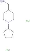 C-(1-Cyclopentyl-piperidin-4-yl)-methylaminedihydrochloride