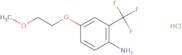 4-(2-Methoxyethoxy)-2-(trifluoromethyl)aniline hydrochloride