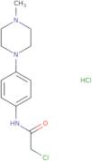 2-Chloro-N-[4-(4-methyl-piperazin-1-yl)-phenyl]-acetamide hydrochloride