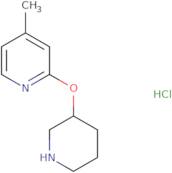 4-Methyl-2-(piperidin-3-yloxy)-pyridine hydrochloride