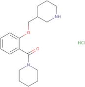 Piperidin-1-yl-[2-(piperidin-3-ylmethoxy)-phenyl]-methanone hydrochloride