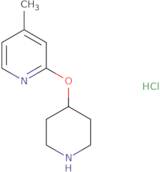 4-Methyl-2-(piperidin-4-yloxy)-pyridine hydrochloride