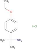 [1-(4-Ethoxyphenyl)-1-methylethyl]amine hydrochloride