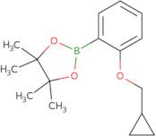 2-Cyclopropylmethoxyphenylboronic acid pinacol ester