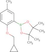 2-(2-Cyclopropylmethoxy-5-methylphenyl)-4,4,5,5-tetramethyl[1,3,2]dioxaborolane