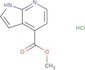 methyl 1H-pyrrolo[2,3-b]pyridine-4-carboxylate hydrochloride