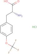 (R)-2-amino-3-(4-(trifluoromethoxy)phenyl)propanoic acid hydrochloride