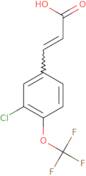 3-[3-Chloro-4-(trifluoromethoxy)phenyl]prop-2-enoic acid