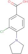 3-Chloro-4-pyrrolidin-1-ylbenzoic acid