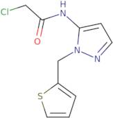 2-Chloro-N-[1-(thiophen-2-ylmethyl)-1H-pyrazol-5-yl]acetamide