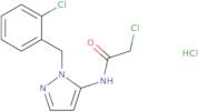 2-Chloro-N-{1-[(2-chlorophenyl)methyl]-1H-pyrazol-5-yl}acetamidehydrochloride