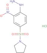 1-(4-Hydrazinyl-3-nitrobenzenesulfonyl)pyrrolidine hydrochloride