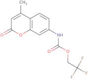 2,2,2-Trifluoroethyl N-(4-methyl-2-oxo-2H-chromen-7-yl)carbamate