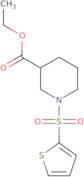 1-(Thiophene-2-sulfonyl)-piperidine-3-carboxylic acid ethyl ester