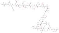 c-JUN peptide