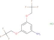 3,5-Bis(2,2,2-trifluoroethoxy)aniline hydrochloride