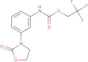 2,2,2-Trifluoroethyl N-[3-(2-oxo-1,3-oxazolidin-3-yl)phenyl]carbamate
