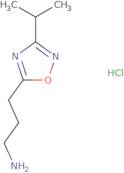 3-[3-(Propan-2-yl)-1,2,4-oxadiazol-5-yl]propan-1-amine hydrochloride