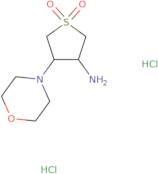 4-morpholin-4-yl-1,1-dioxothiolan-3-amine dihydrochloride