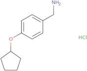 [4-(Cyclopentyloxy)phenyl]methanamine hydrochloride