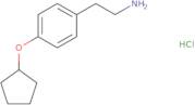 2-[4-(Cyclopentyloxy)phenyl]ethan-1-amine hydrochloride