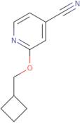 2-(Cyclobutylmethoxy)isonicotinonitrile