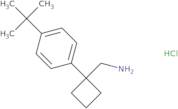 [1-(4-tert-Butylphenyl)cyclobutyl]methanamine hydrochloride