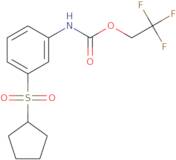 2,2,2-Trifluoroethyl N-[3-(cyclopentanesulfonyl)phenyl]carbamate